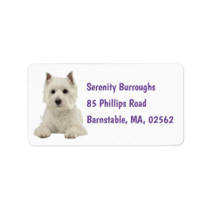 Cute Westie White Puppy Hund Väster Highland Terr Adressetikett