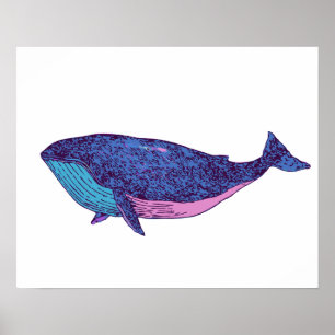 Cute Whale Art Teckning i Ocean Blue Poster