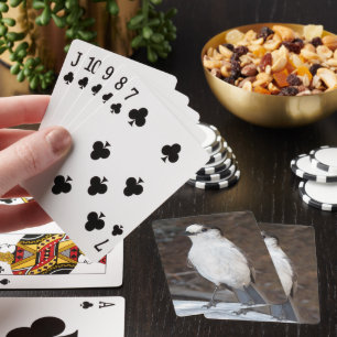 Cute Whiskey Jack Bird Casinokort