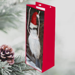 Cute Whiskey Jack Wearing Red Santa Hat