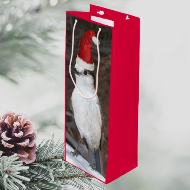 Cute Whiskey Jack Wearing Red Santa Hat (In Situ)