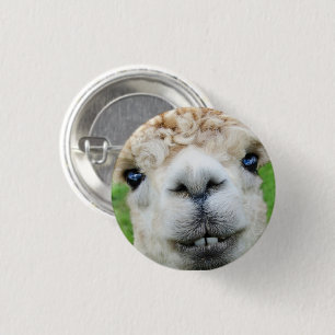 Cute White Alpaca Ansikte Knapp