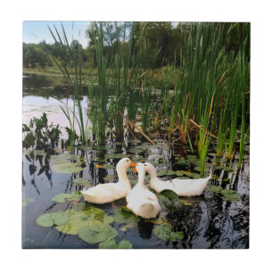 Cute White ankor, lily dynors, cattails, sjö shore Kakelplatta