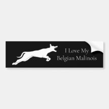 Cute White Belgium Malinois Bumper Sticker