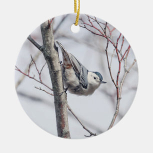 Cute White-Brested Nuthatch Ornament