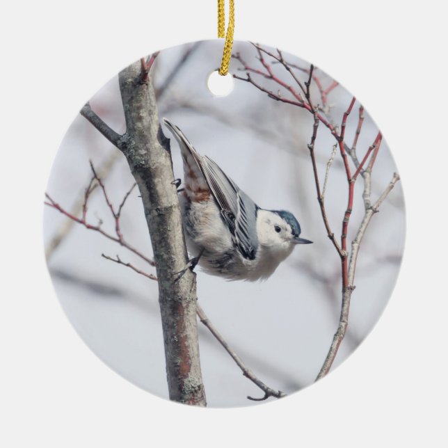 Cute White-Brested Nuthatch Ornament (Framsidan)