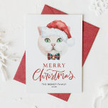 Cute White British Shorthair Cat jultomten Julkort<br><div class="desc">God Jul! Skicka semesterhälsningar till familj och vänner med ett platta julkort med katttemat. Den har en vattenfärgad illustration av en söt vit brittisk shorthair-katt med en julhatt och tartanbågslips. Texterna är helt redigerbara. Anpassa genom att lägga till ett hälsning, namn och ett meddelande. Kattjullkortet är perfekt för kattälskare och...</div>