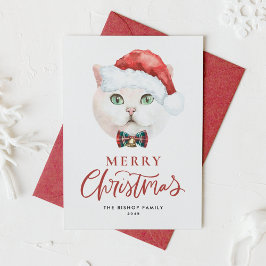 Cute White British Shorthair Cat jultomten Julkort