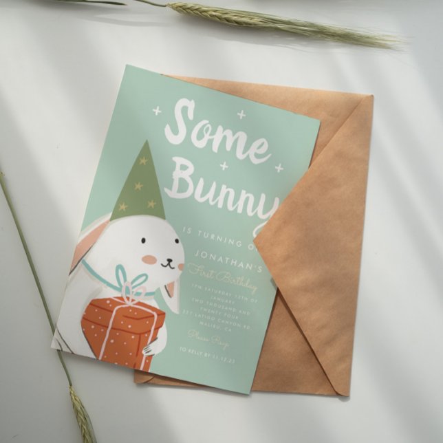 Cute White Bunny 1:a födelsedagsinbjudan Inbjudningar (Skapare uppladdad)