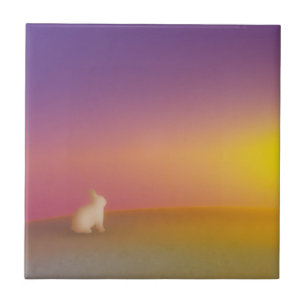 Cute White Bunny Rabbit på Grassy Backe vid Solupp Kakelplatta