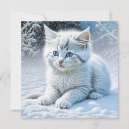 Cute White Cat som spelar i Snö