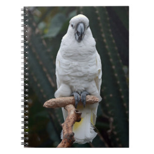 Cute white cockatoo anteckningsbok