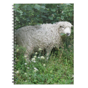 Cute White Fluffy Sheep Äter bärbara datorer Anteckningsbok