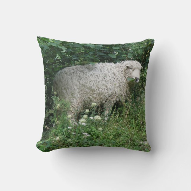 Cute White Fluffy Sheep Eating Pillow Kudde (Framsida)