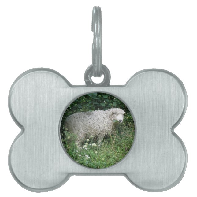 Cute White Fluffy Sheep Ettag Namnbricka Husdjur (Framsidan)