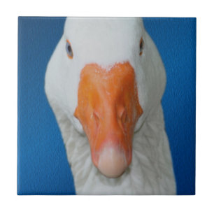 Cute White Goose Nature Kakelplatta