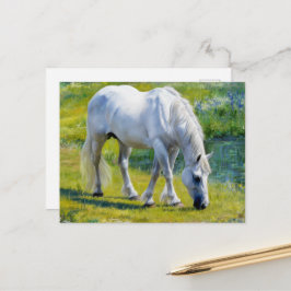 Cute White Horse, Claude Monet Stil Vykort