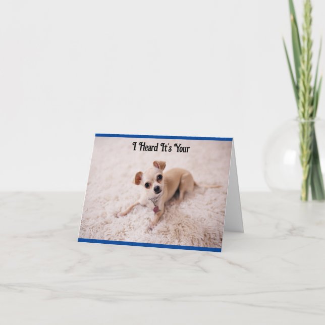 Cute White Hund Birday Greeting Card Kort (Framsida)