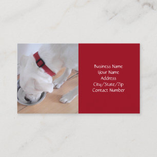 Cute White Hund Drinking Vatten Red-julen Visitkort
