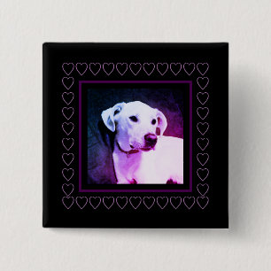 Cute White Hund Hearts Ram Valentine Day Knapp
