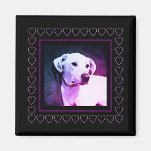 Cute White Hund Hearts Ram Valentine Day Magnet