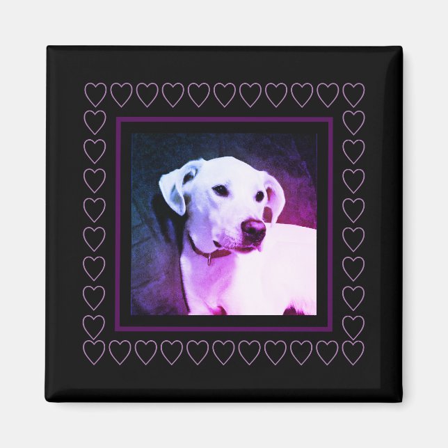Cute White Hund Hearts Ram Valentine Day Magnet (Framsidan)