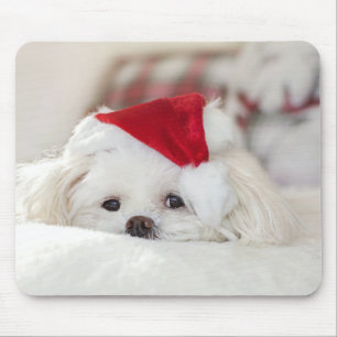 Cute White Hund i en röd julhatt Musmatta