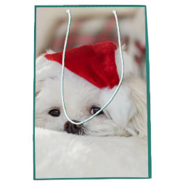 Cute White-Hund i en röd julklapp