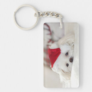 Cute White-Hund i en röd julklapp