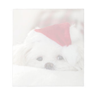 Cute White-Hund i en röd julklapp Anteckningsblock