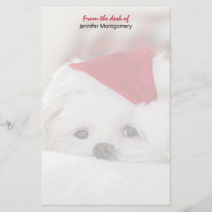 Cute White-Hund i en röd julklapp Brevpapper