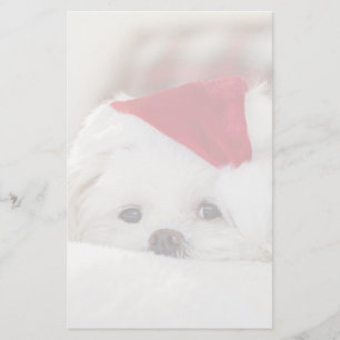 Cute White-Hund i en röd julklapp Brevpapper