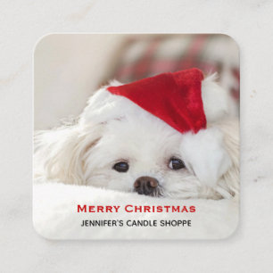 Cute White-Hund i en röd julklapp Fyrkantigt Visitkort