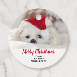 Cute White-Hund i en röd julklapp Gåvor Etiketter