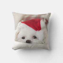 Cute White-Hund i en röd julklapp Kudde