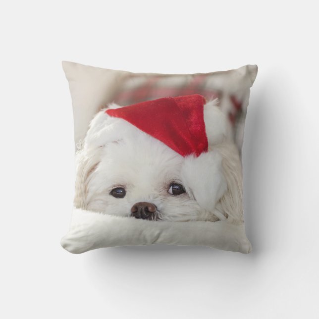 Cute White-Hund i en röd julklapp Kudde (Framsida)