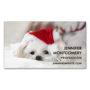 Cute White-Hund i en röd julklapp Magnetiska Visitkort