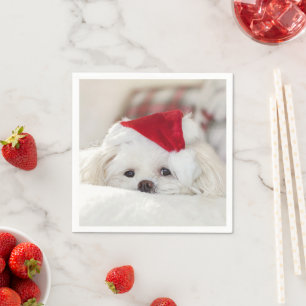 Cute White-Hund i en röd julklapp Pappersservett