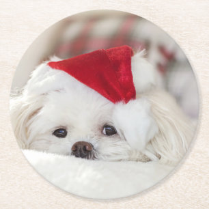 Cute White-Hund i en röd julklapp Underlägg Papper Rund