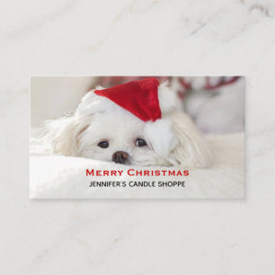 Cute White-Hund i en röd julklapp Visitkort