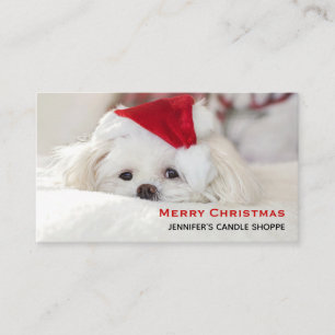 Cute White-Hund i en röd julklapp Visitkort