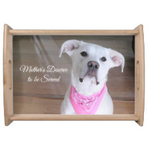 Cute White Hund med Rosa Scarf Mamma