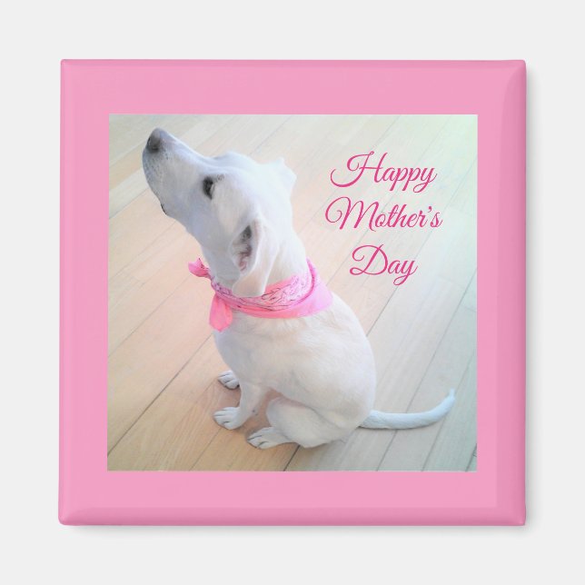 Cute White Hund med Rosa Scarf Mors dag Magnet (Framsidan)
