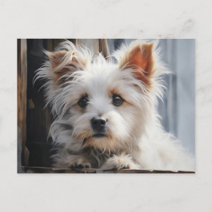 Cute White Hund Porträtt Vykort
