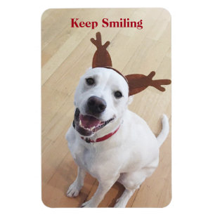 Cute White Hund Smiling Främjande av jul Magnet