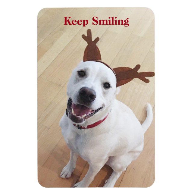 Cute White Hund Smiling Främjande av jul Magnet (Vertikal)