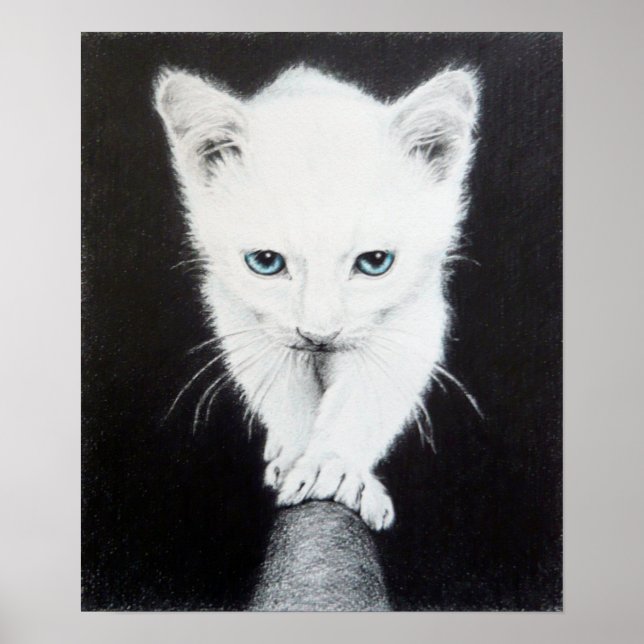 Cute white kitten Animal teckning art Cat lovers Poster (Framsidan)