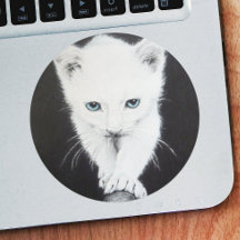 Cute white kitten Animal teckning art Cat lovers