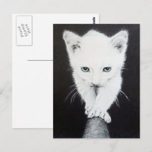 Cute white kitten Animal teckning art Cat lovers Vykort