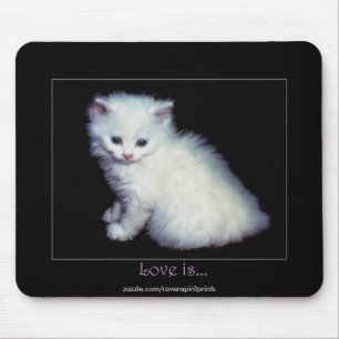 Cute White Kitten Art Musmatta